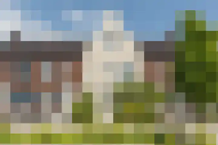 Maximastraat 62 St. Willebrord thumbnail 5