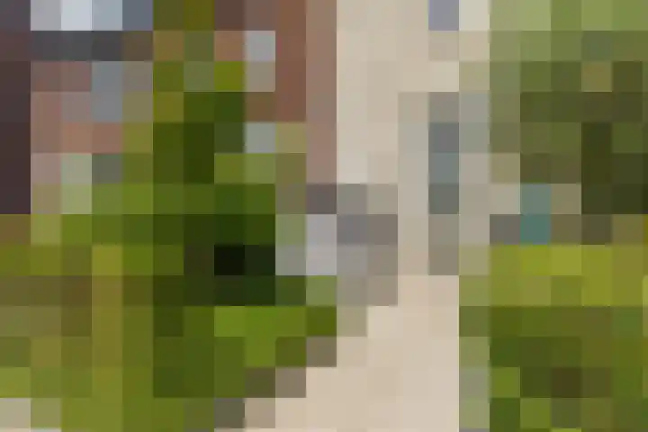 Maximastraat 62 St. Willebrord thumbnail 7