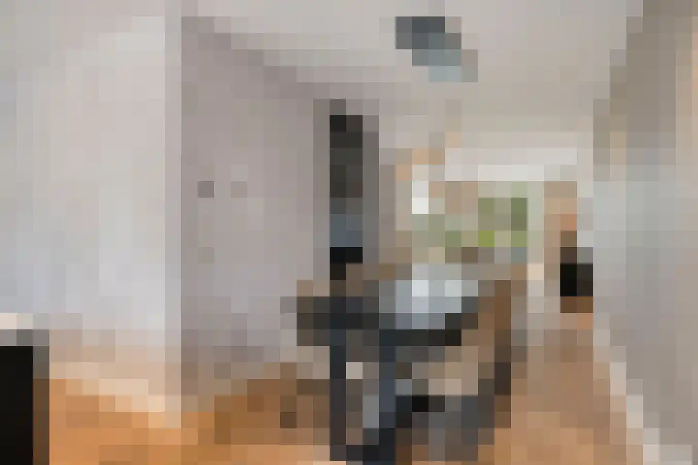 Maximastraat 9 St. Willebrord thumbnail 12