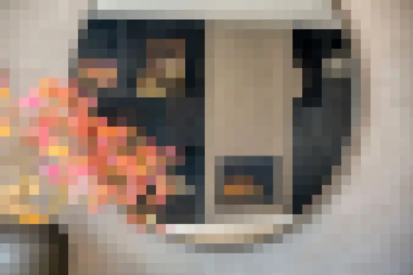 Maximastraat 9 St. Willebrord thumbnail 19