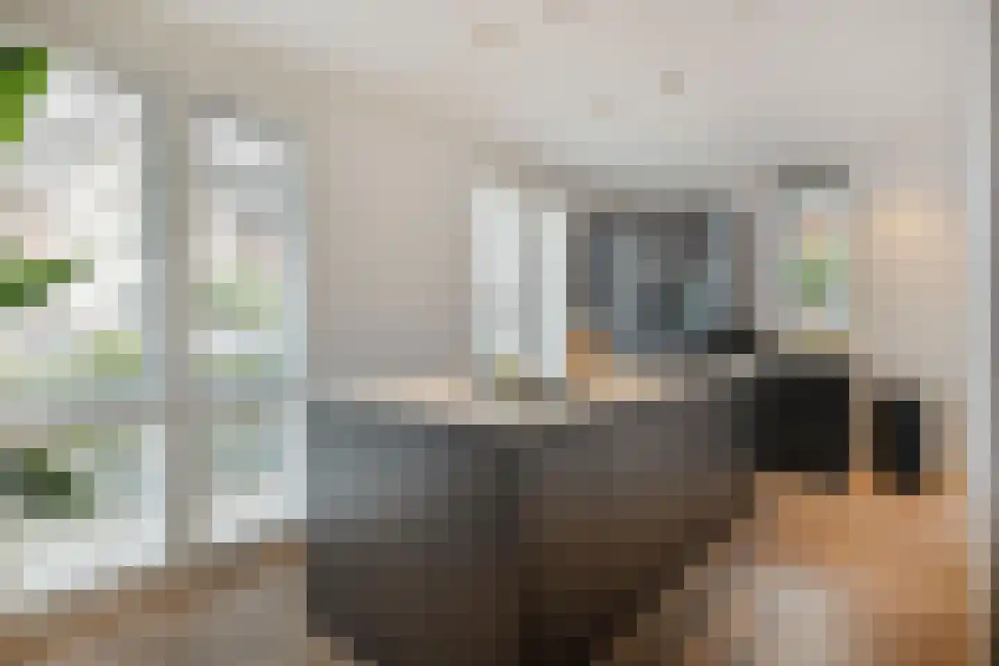 Maximastraat 9 St. Willebrord thumbnail 24