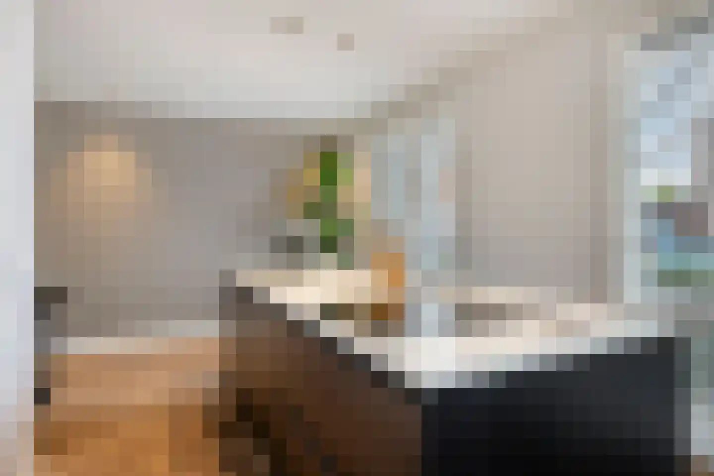 Maximastraat 9 St. Willebrord thumbnail 26