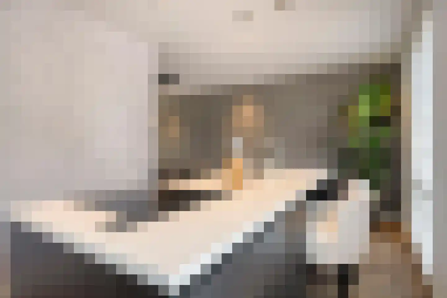 Maximastraat 9 St. Willebrord thumbnail 27