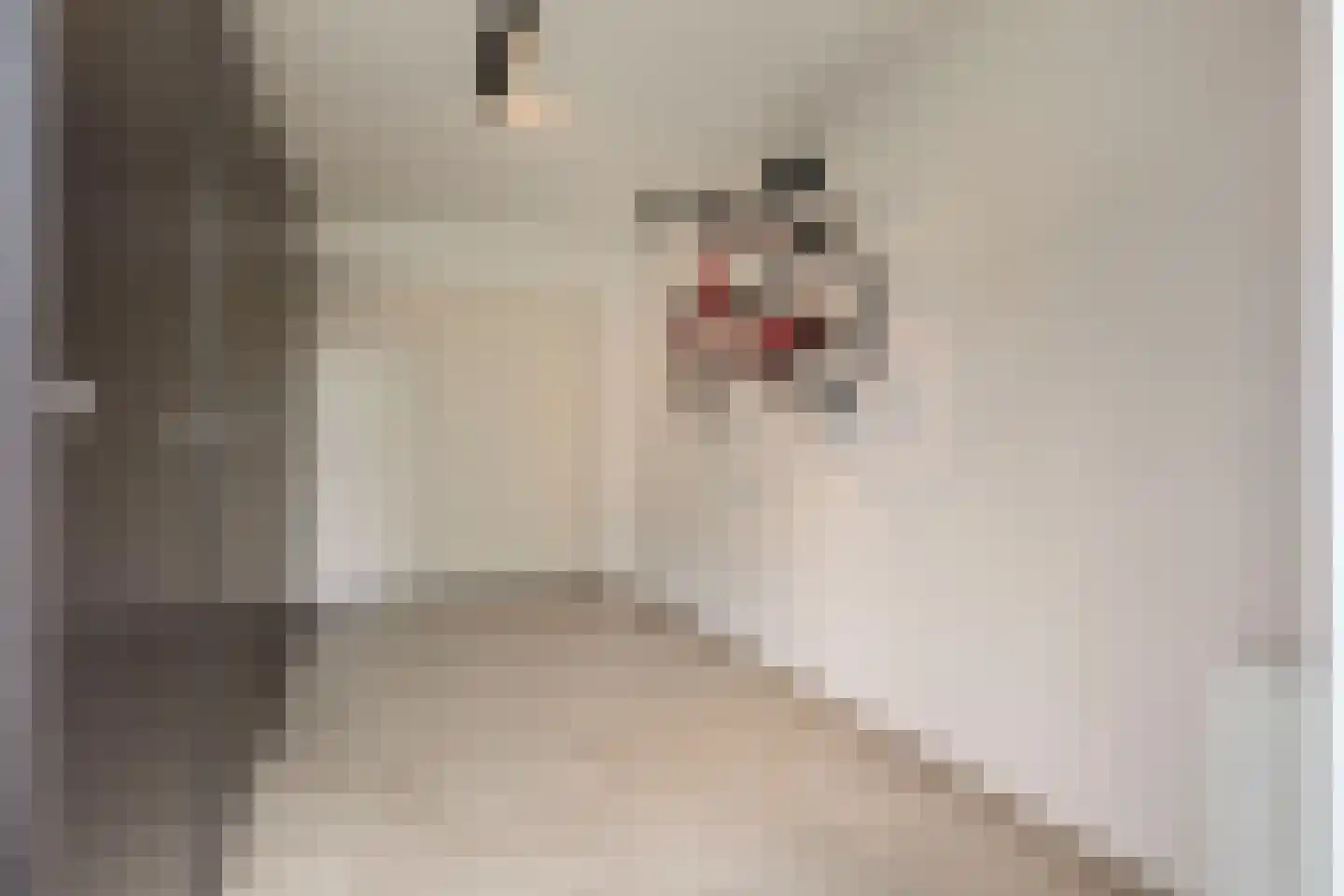 Maximastraat 9 St. Willebrord thumbnail 30