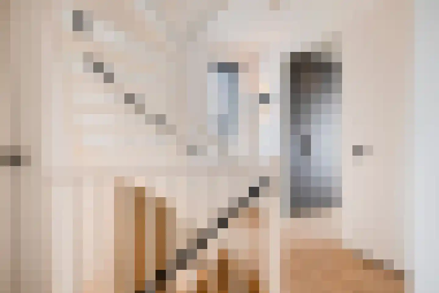 Maximastraat 9 St. Willebrord thumbnail 32