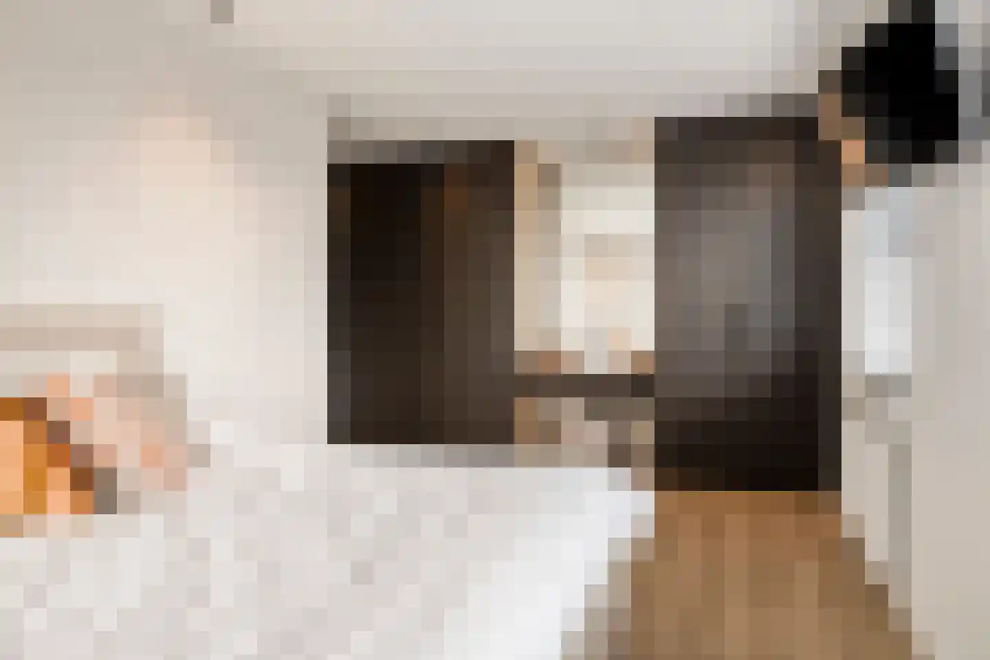 Maximastraat 9 St. Willebrord thumbnail 35