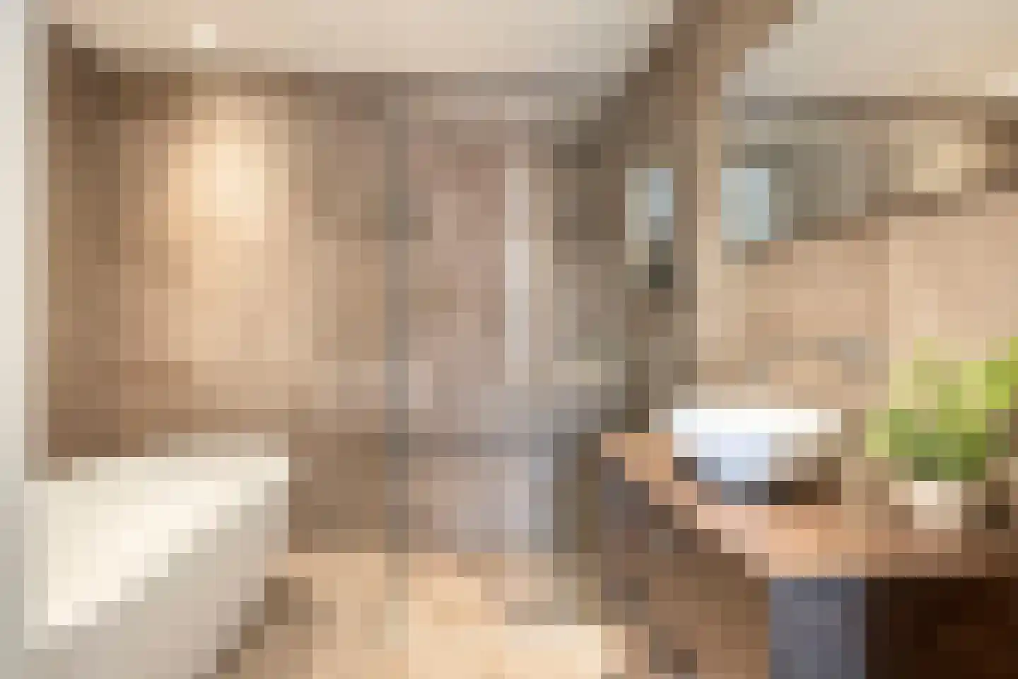 Maximastraat 9 St. Willebrord thumbnail 43