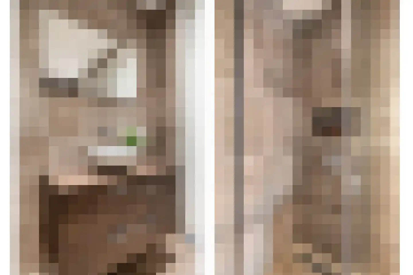 Maximastraat 9 St. Willebrord thumbnail 45