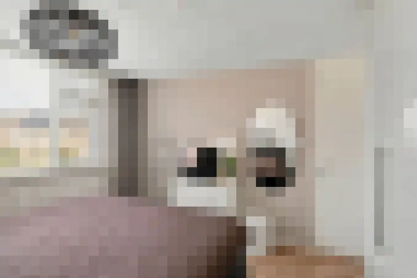 Maximiliaan de Hennijnstraat 5 Serooskerke thumbnail 14