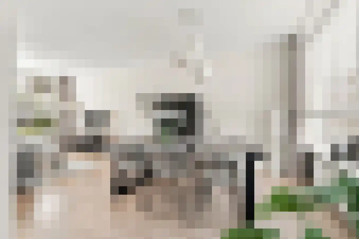 Maximiliaan de Hennijnstraat 5 Serooskerke thumbnail 7