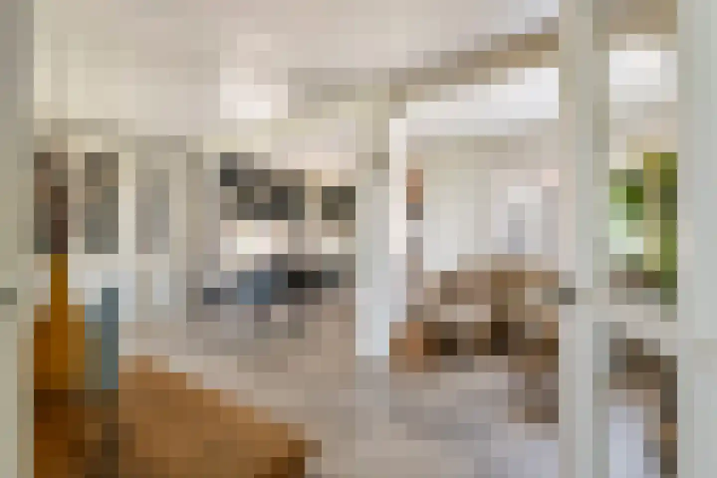 Maximiliaan van Egmondstraat 10 Buren thumbnail 14