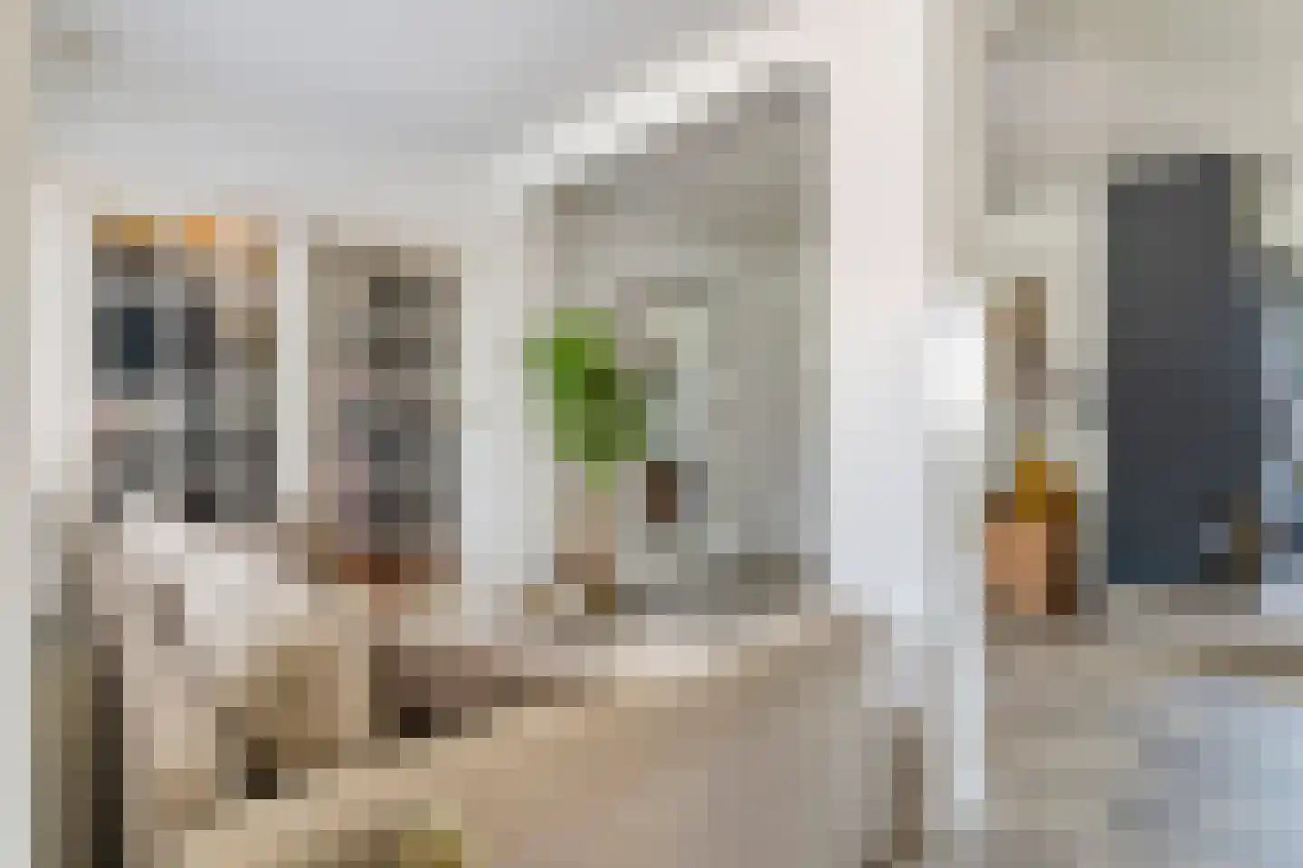 Maximiliaan van Egmondstraat 10 Buren thumbnail 18