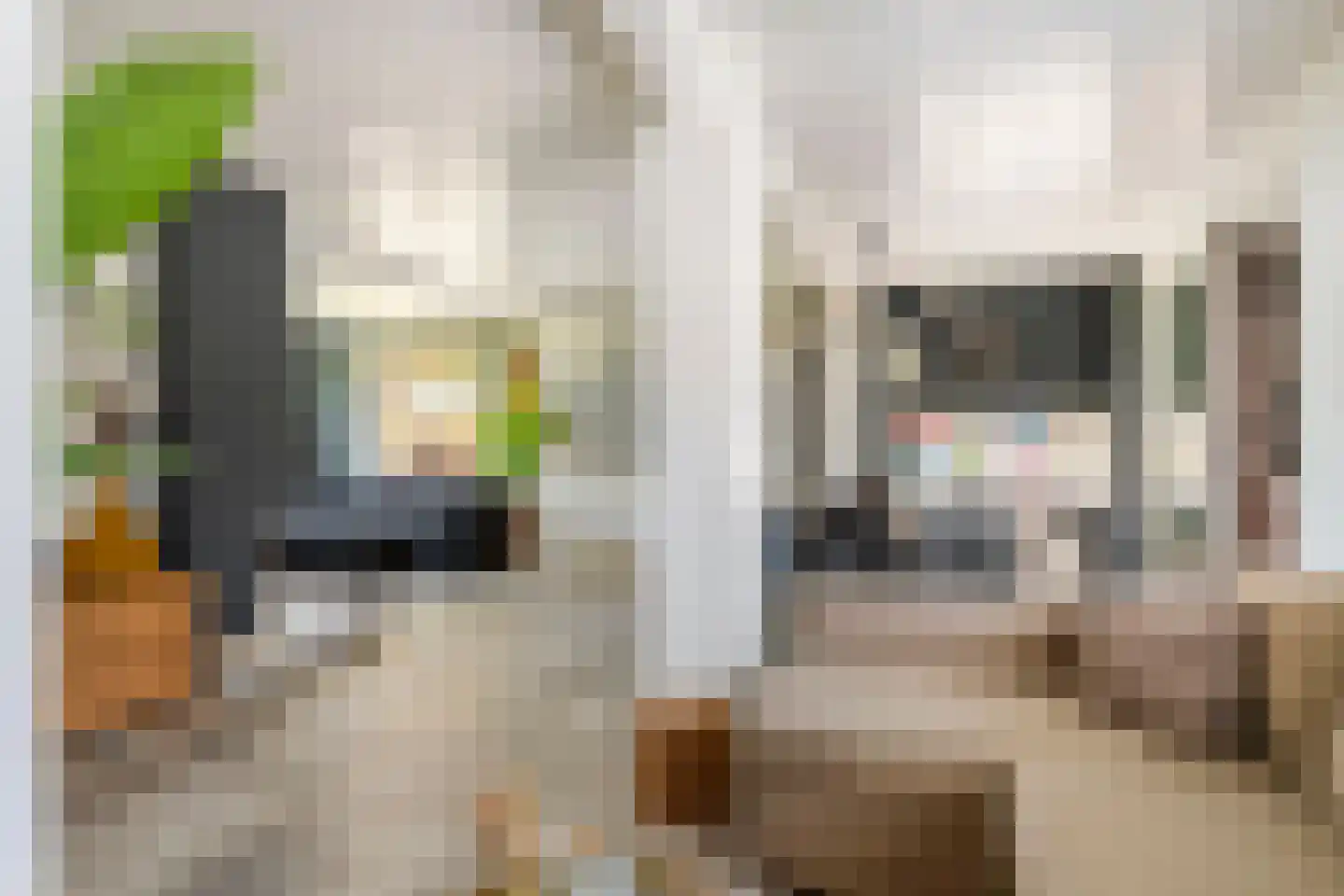 Maximiliaan van Egmondstraat 10 Buren thumbnail 19