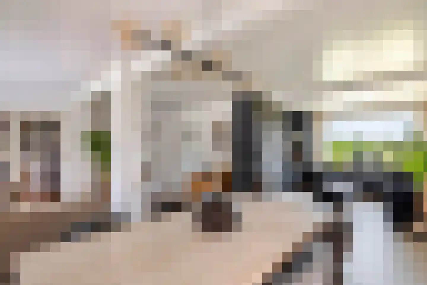 Maximiliaan van Egmondstraat 10 Buren thumbnail 20