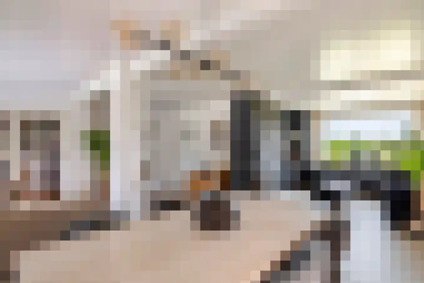 Maximiliaan van Egmondstraat 10 Buren thumbnail 20