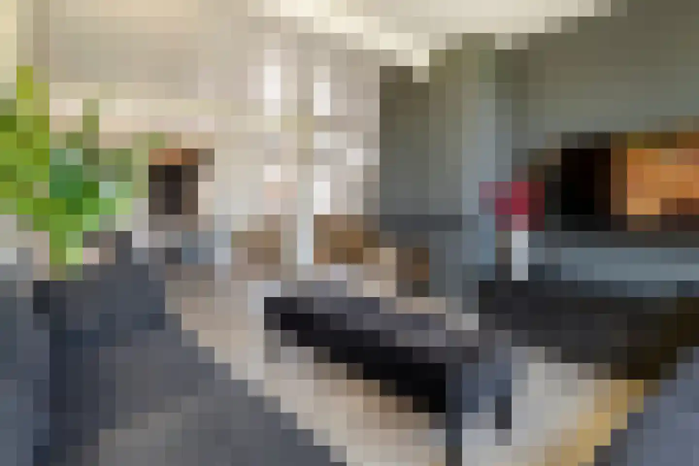 Maximiliaan van Egmondstraat 10 Buren thumbnail 22