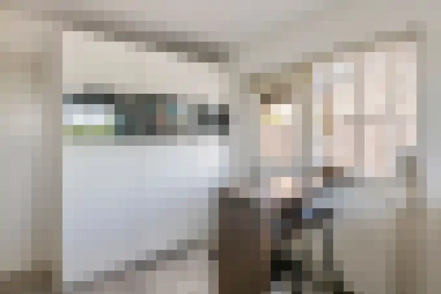 Maximiliaan van Egmondstraat 10 Buren thumbnail 23