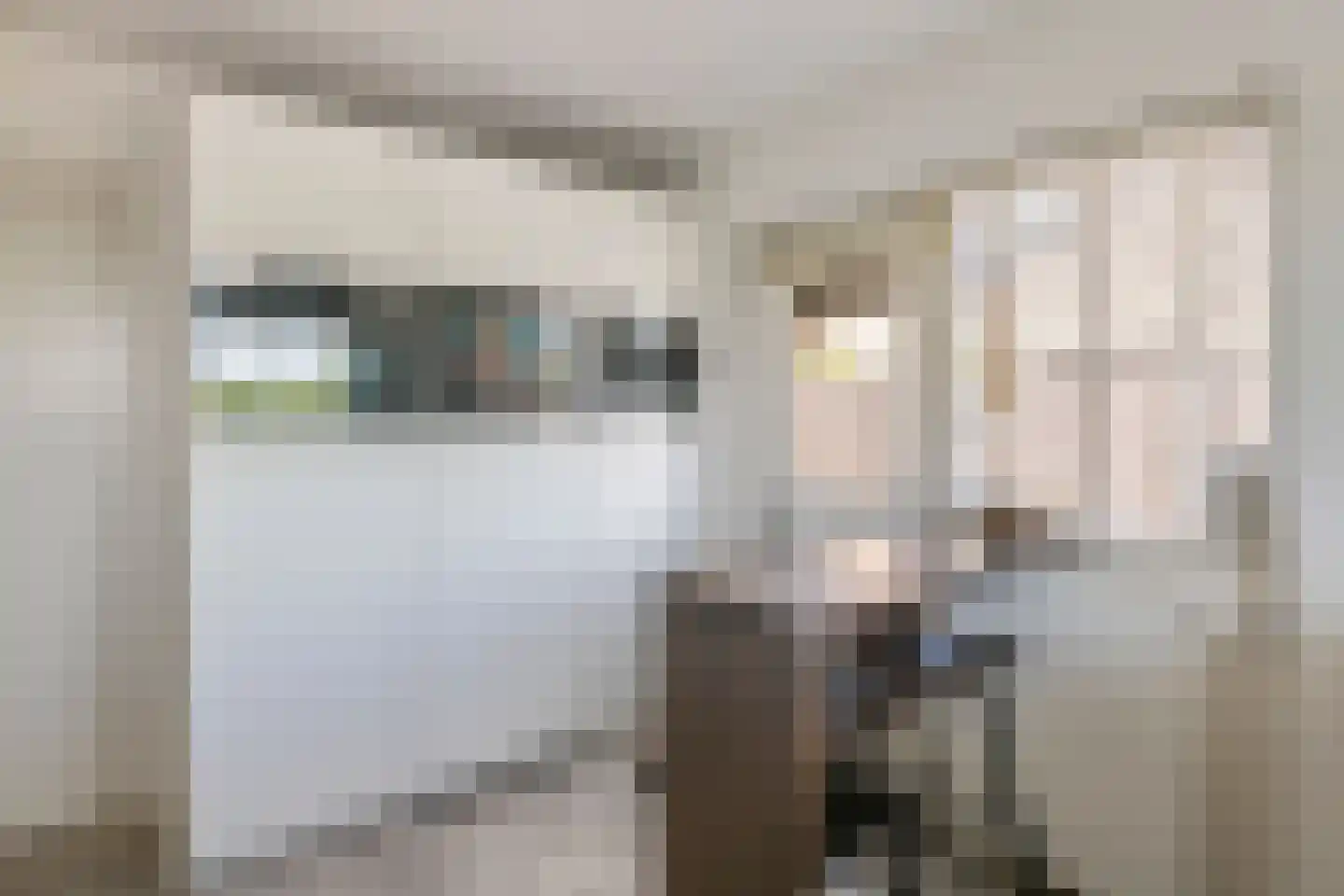 Maximiliaan van Egmondstraat 10 Buren thumbnail 23