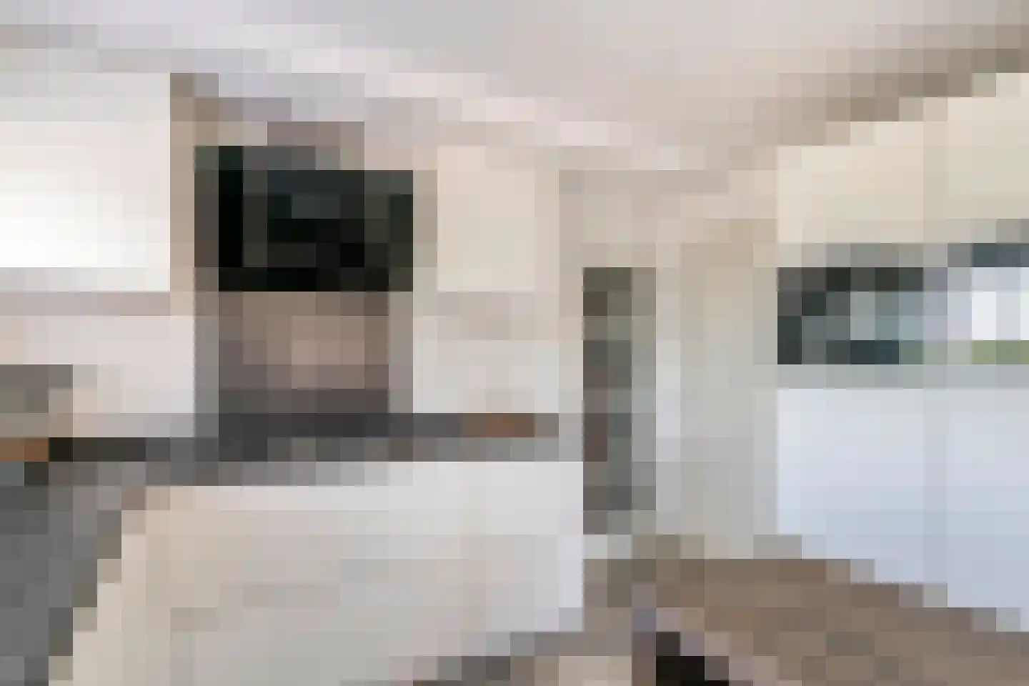 Maximiliaan van Egmondstraat 10 Buren thumbnail 24