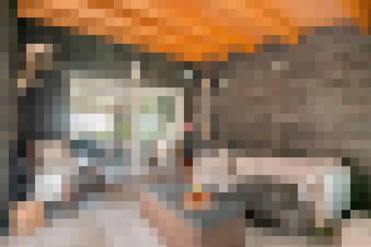 Maximiliaan van Egmondstraat 10 Buren thumbnail 29