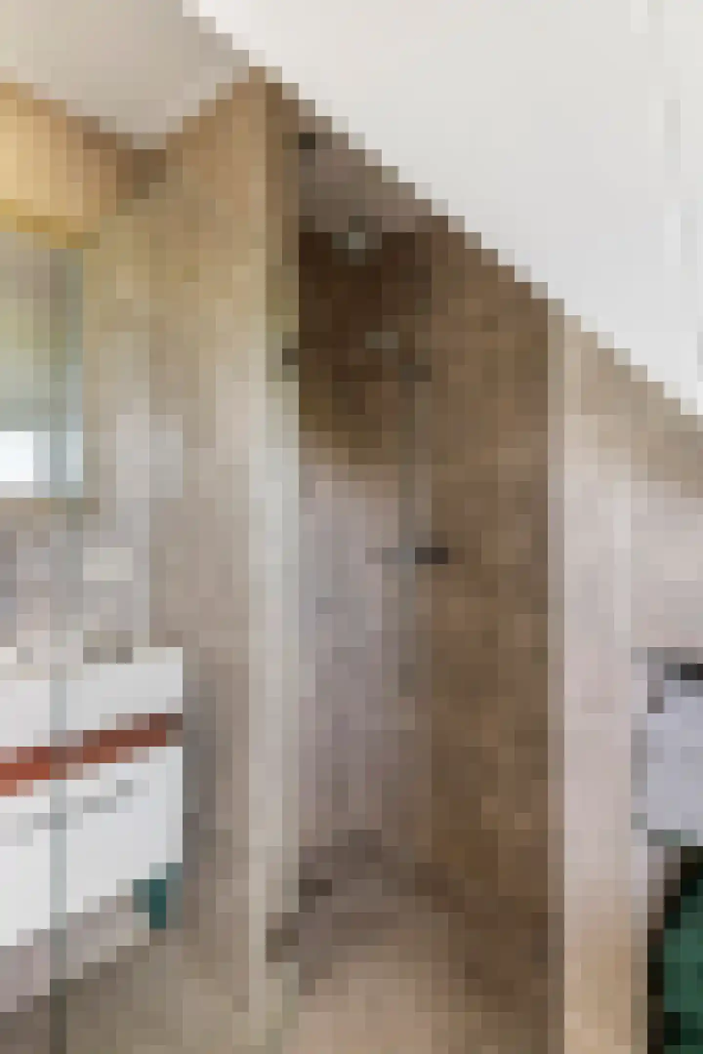 Maximiliaan van Egmondstraat 10 Buren thumbnail 34