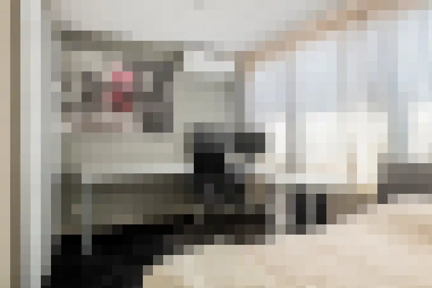 Maximiliaan van Egmondstraat 10 Buren thumbnail 36