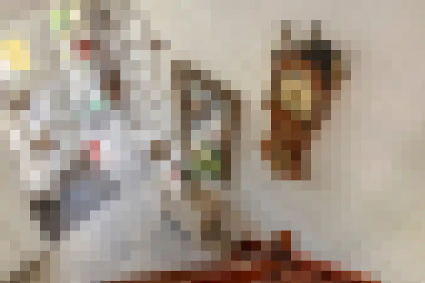 Maximiliaan van Egmondstraat 10 Buren thumbnail 38