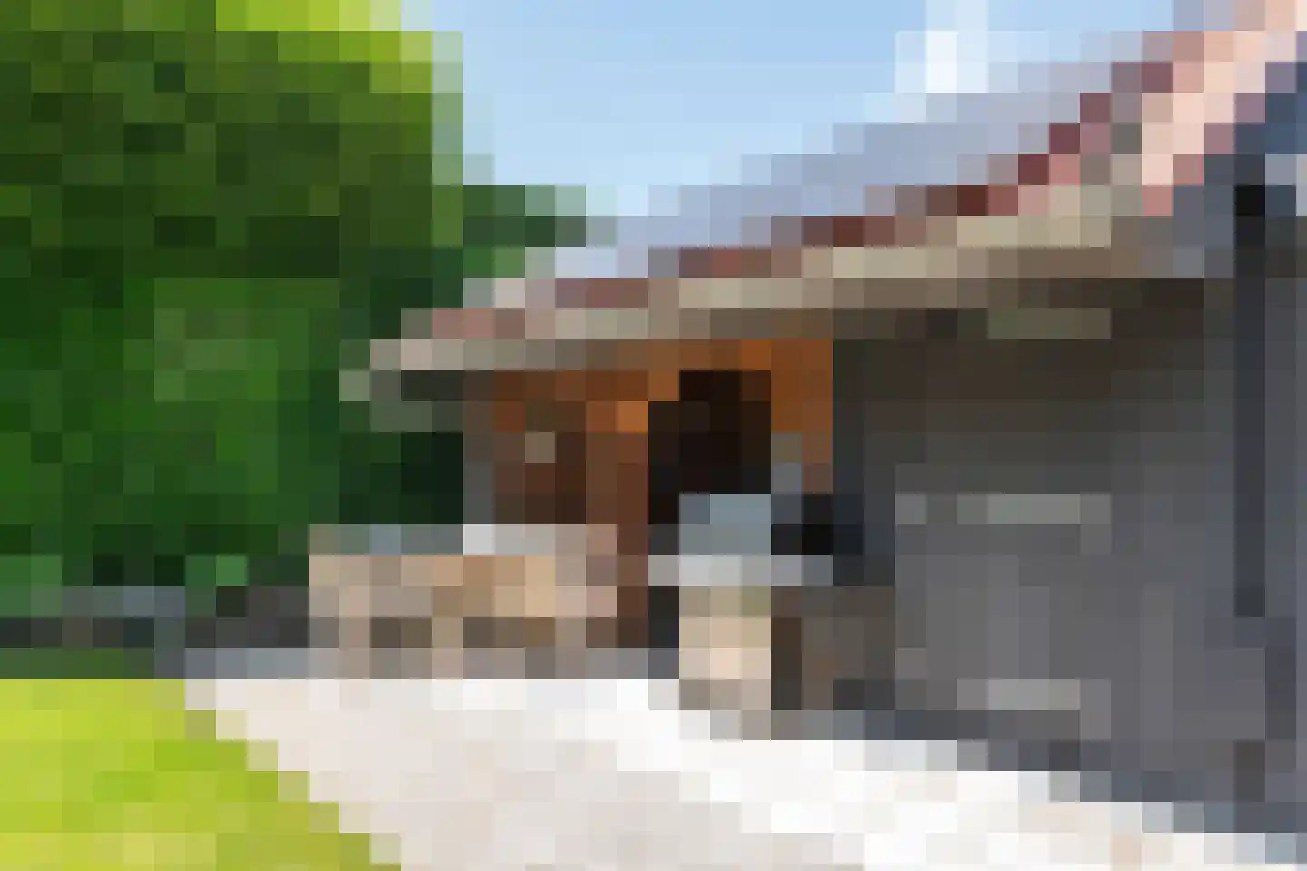 Maximiliaan van Egmondstraat 10 Buren thumbnail 4