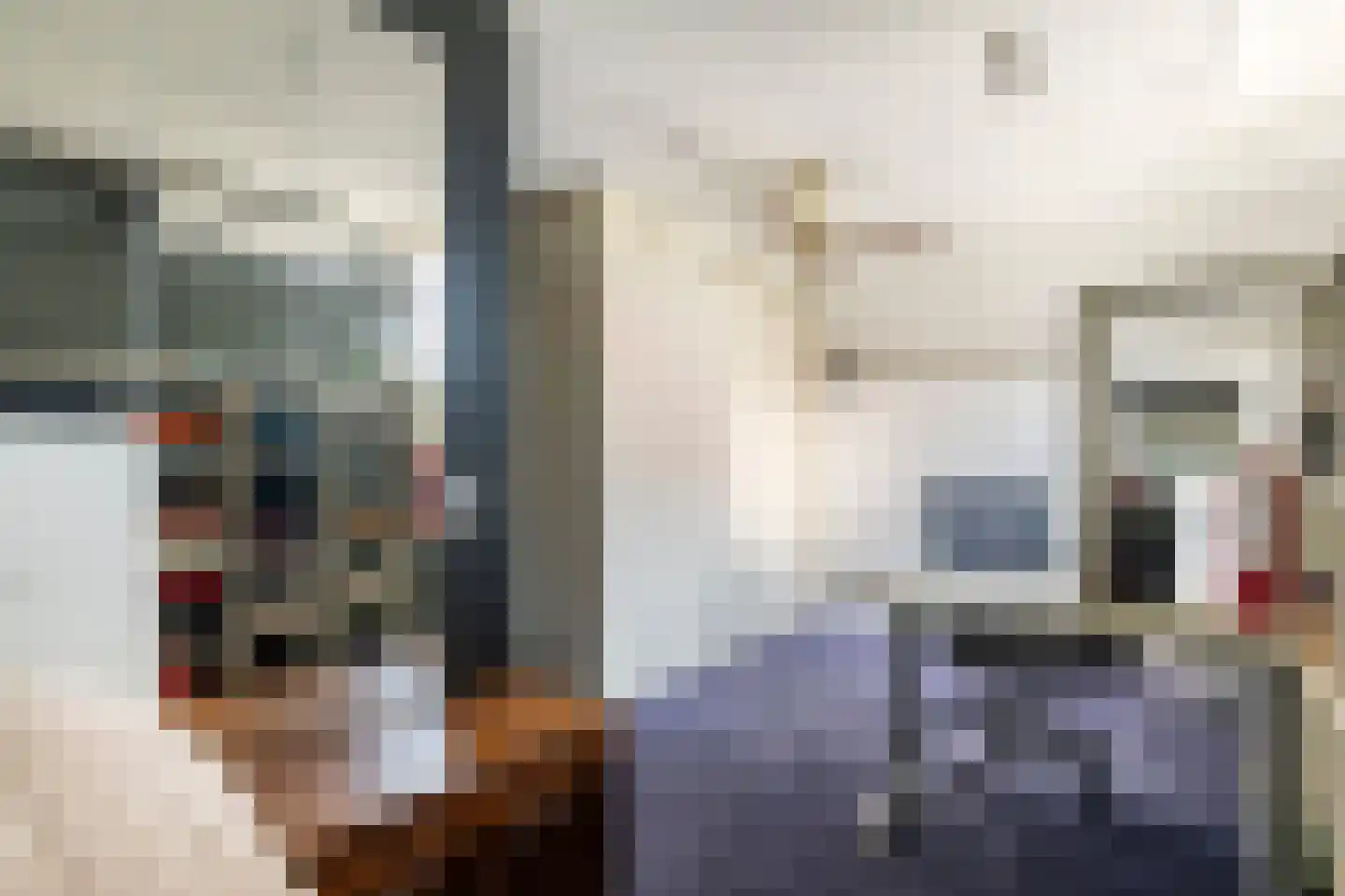 Maximiliaan van Egmondstraat 10 Buren thumbnail 41