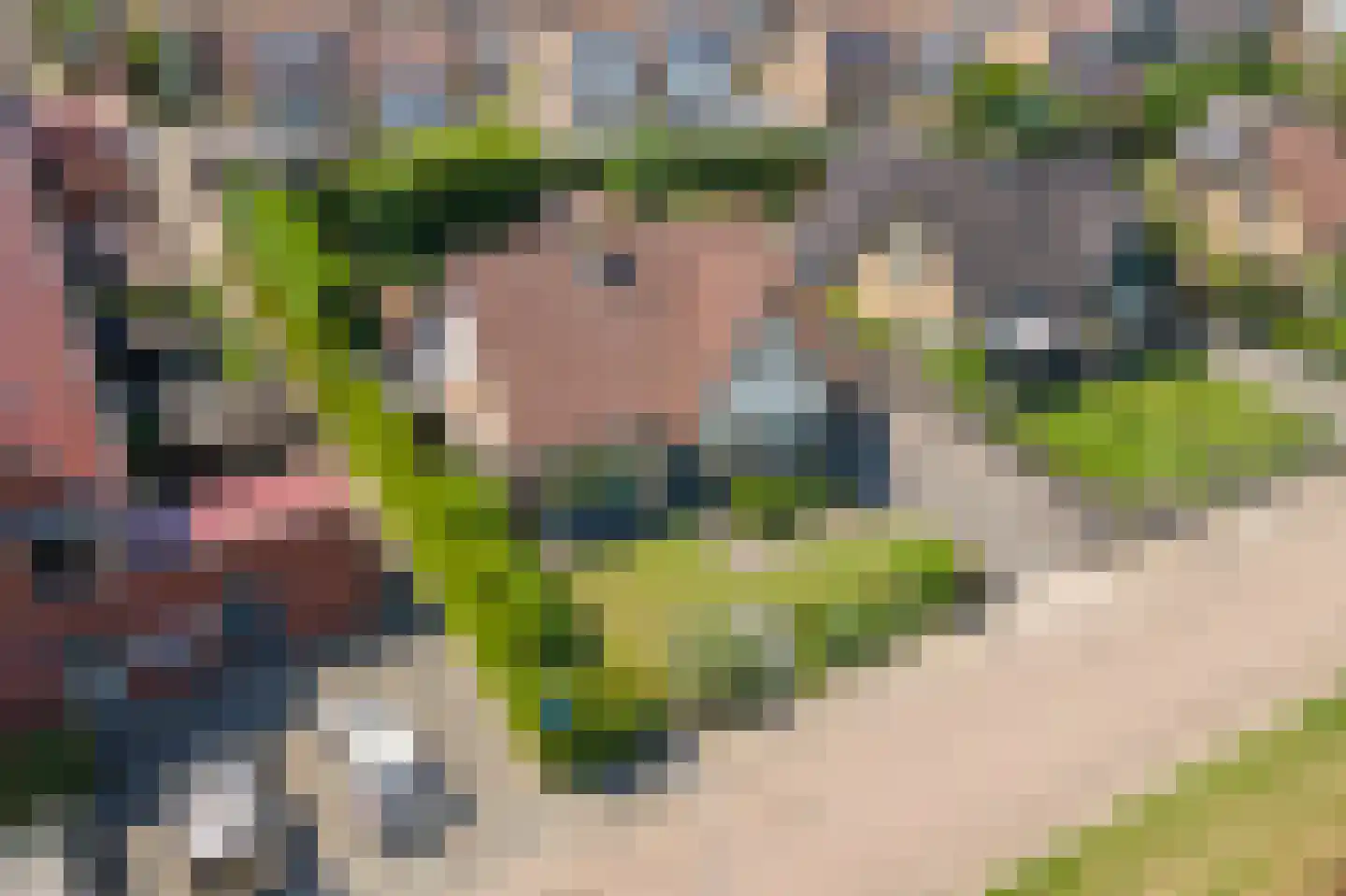 Maximiliaan van Egmondstraat 10 Buren thumbnail 42