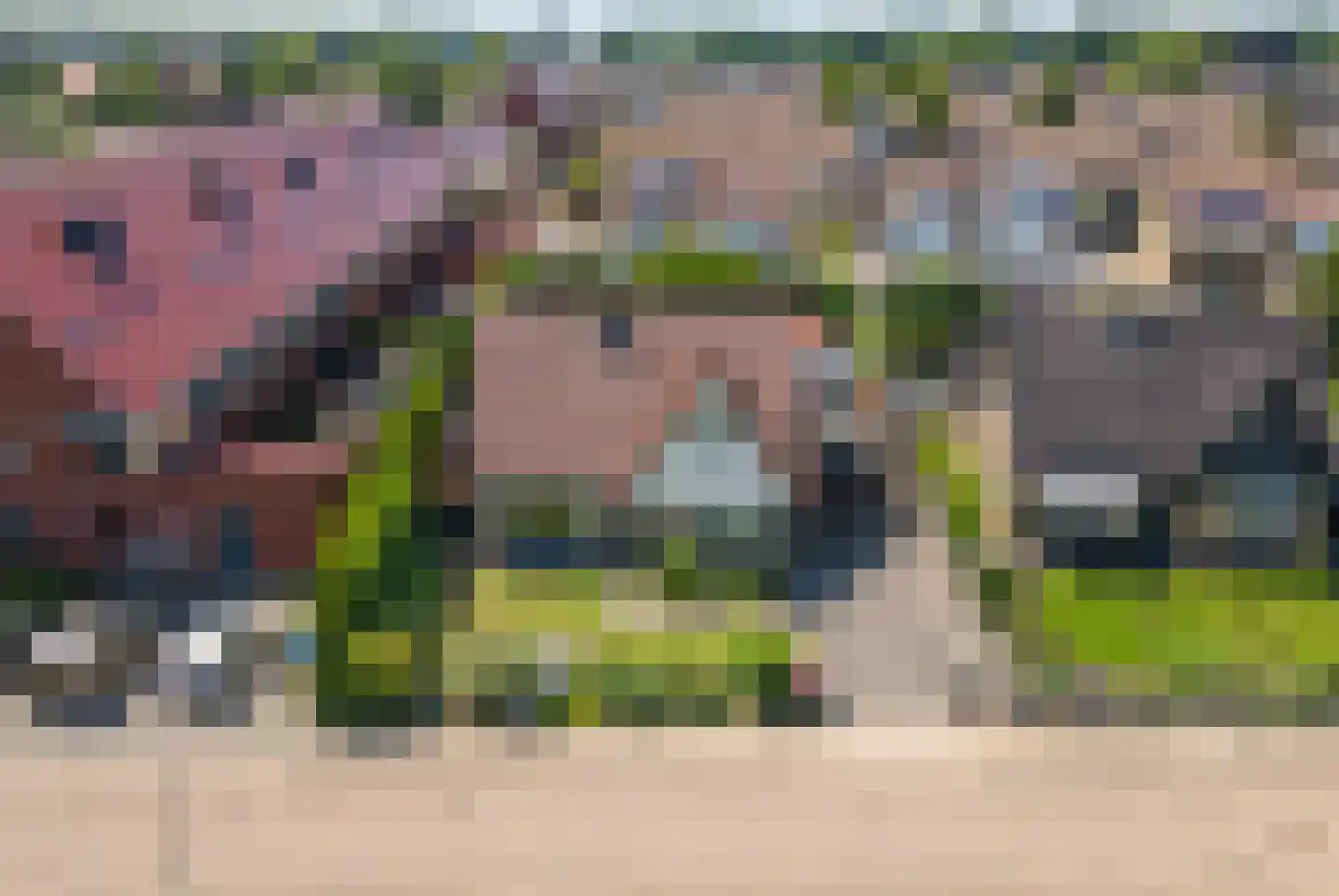 Maximiliaan van Egmondstraat 10 Buren thumbnail 43