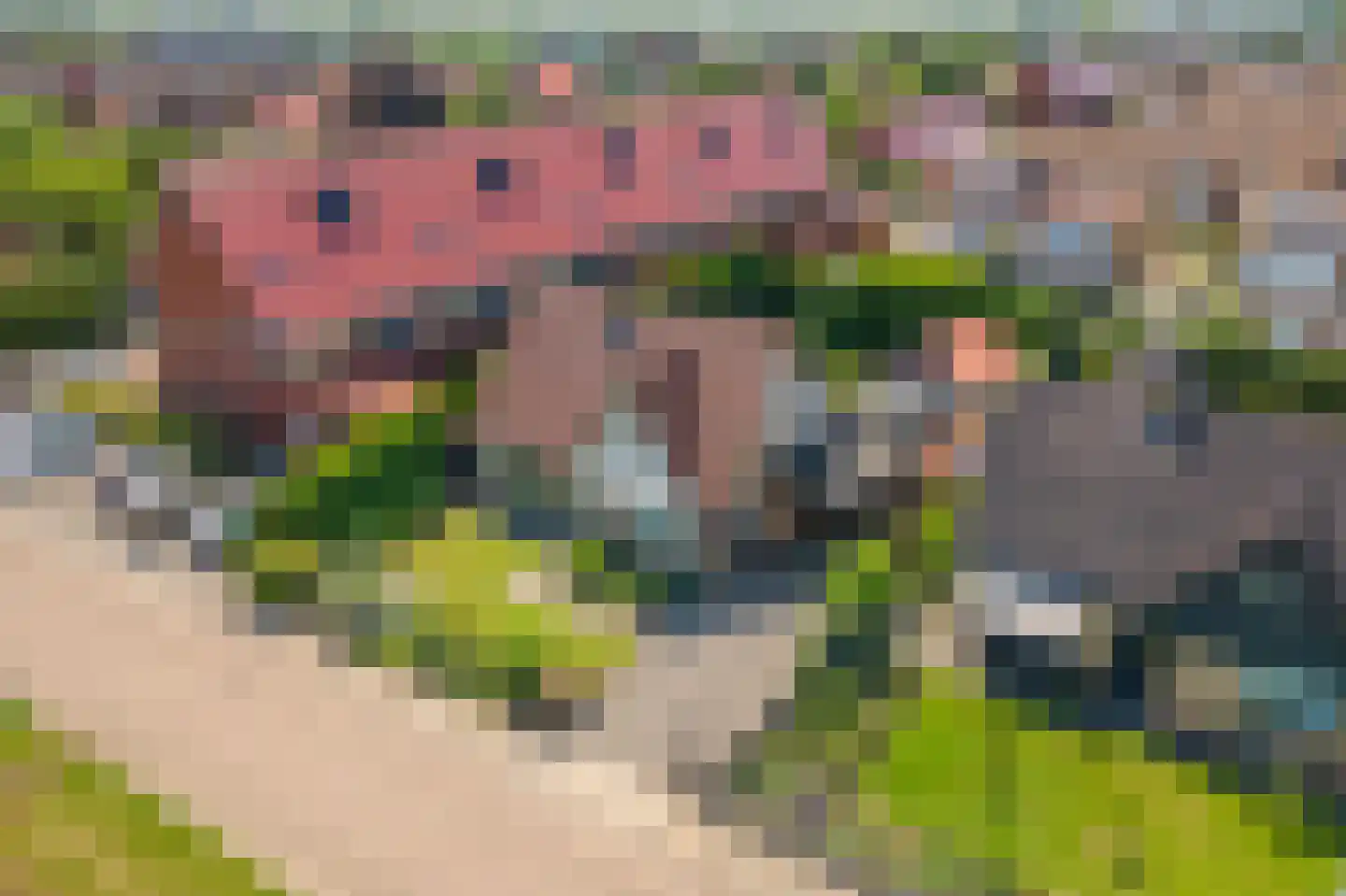 Maximiliaan van Egmondstraat 10 Buren thumbnail 46