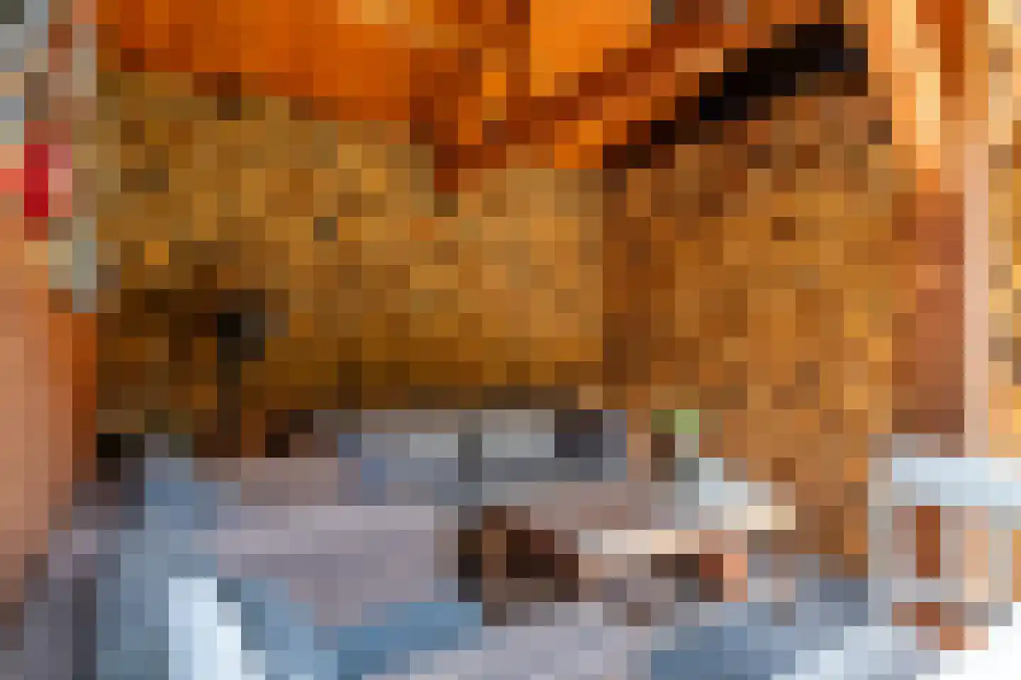 Maximiliaan van Egmondstraat 10 Buren thumbnail 6