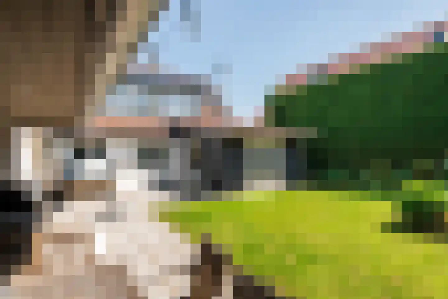 Maximiliaan van Egmondstraat 10 Buren thumbnail 7