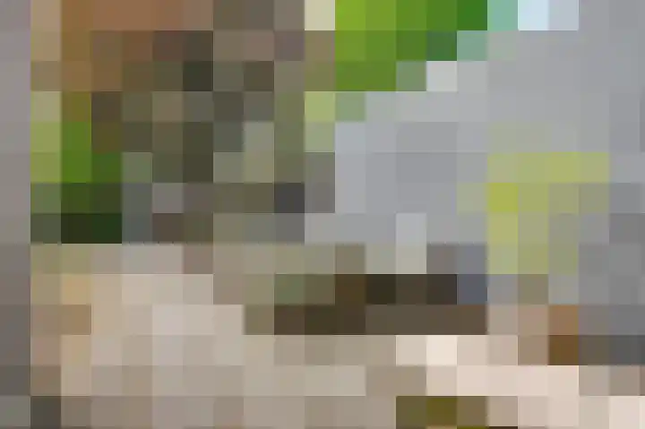 Maximiliaanlaan 12 Waalre thumbnail 12