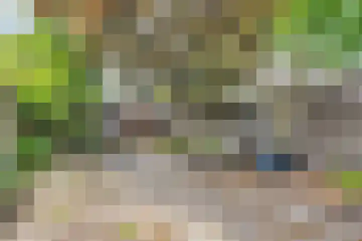 Maximiliaanlaan 12 Waalre thumbnail 13