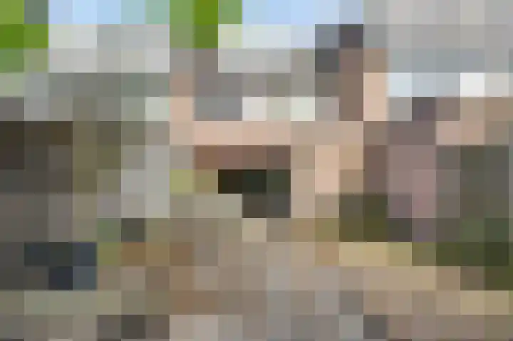 Maximiliaanlaan 12 Waalre thumbnail 14