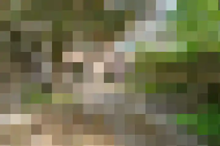Maximiliaanlaan 12 Waalre thumbnail 15