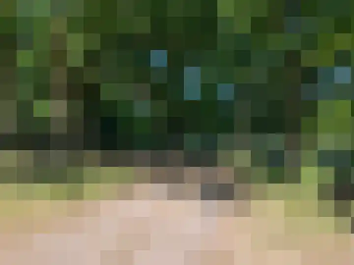 Maximiliaanlaan 12 Waalre thumbnail 24