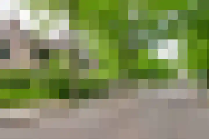 Maximiliaanlaan 12 Waalre thumbnail 6