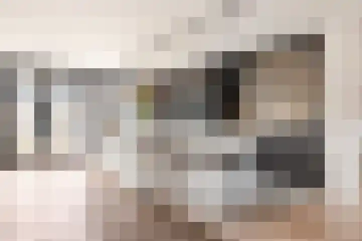 Maximiliaanlaan 24 Waalre thumbnail 12