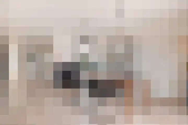 Maximiliaanlaan 24 Waalre thumbnail 16