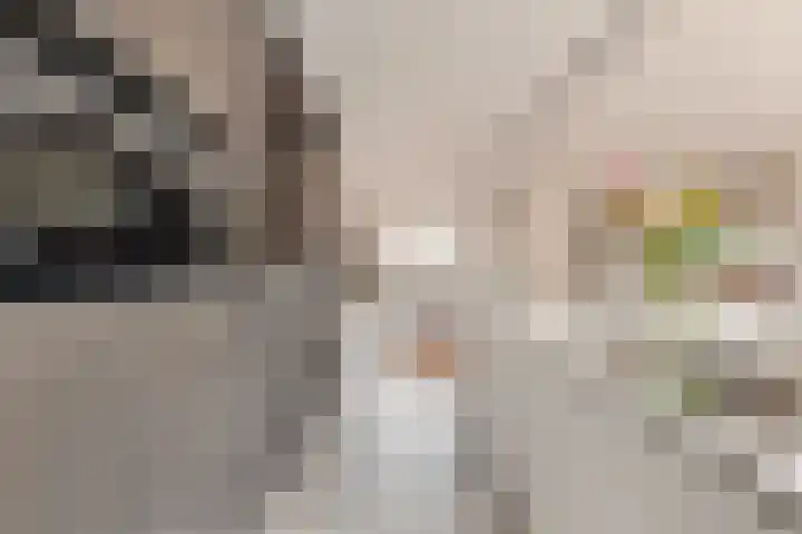 Maximiliaanlaan 24 Waalre thumbnail 18