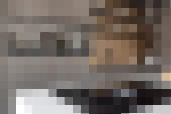 Maximiliaanlaan 24 Waalre thumbnail 21