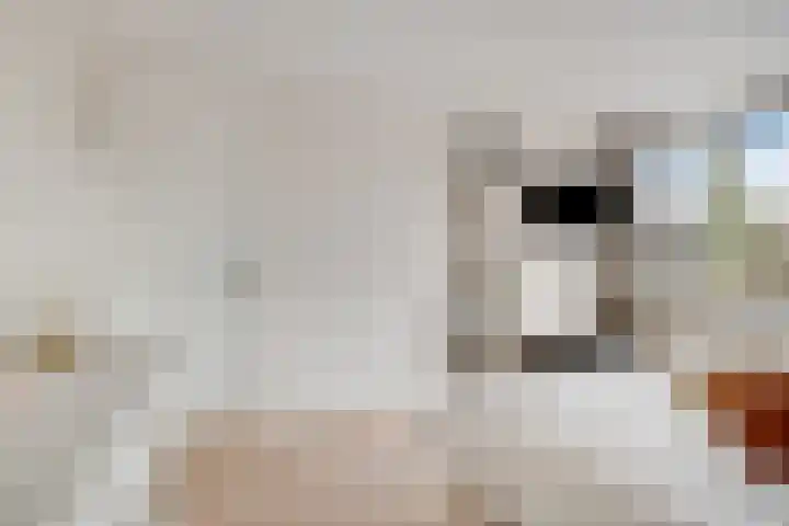Maximiliaanlaan 24 Waalre thumbnail 26