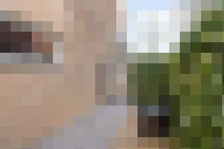 Maximiliaanlaan 24 Waalre thumbnail 40
