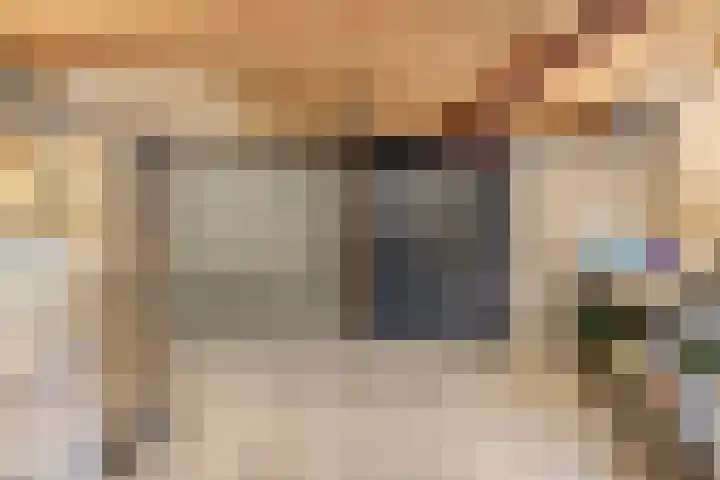 Maximiliaanlaan 24 Waalre thumbnail 41