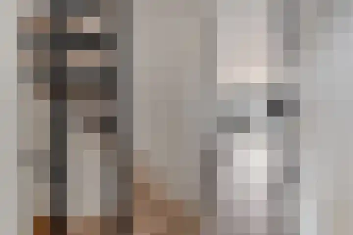 Maximiliaanlaan 24 Waalre thumbnail 6