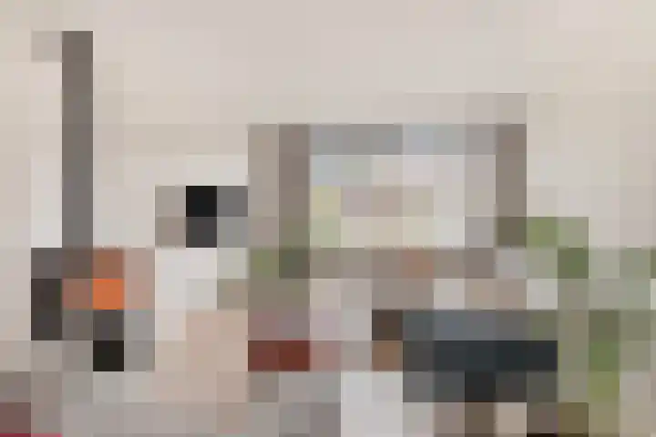 Maximiliaanlaan 24 Waalre thumbnail 7