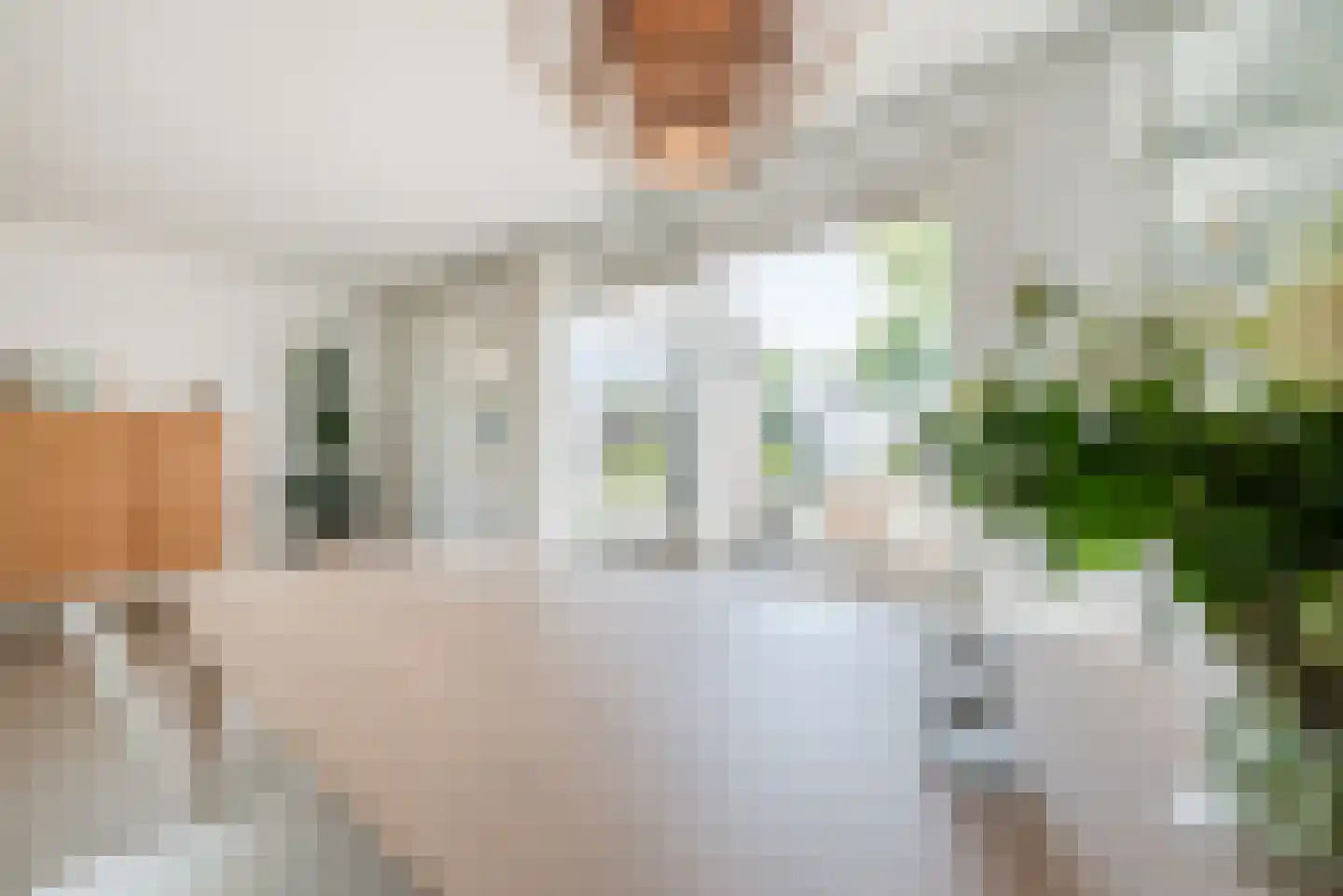 Maximiliaanlaan 28 Waalre thumbnail 17